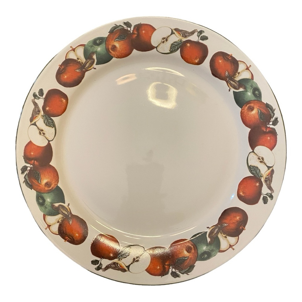 Oneida Majesticware Apples and Warblers Dinner Plate 10.5” David Carter Brown